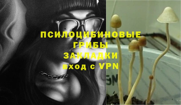 соль ск Аркадак