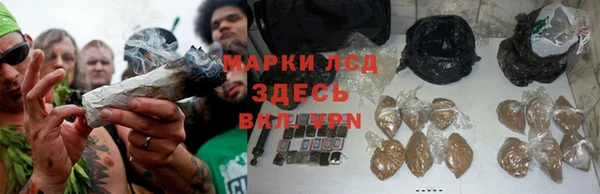 соль ск Аркадак