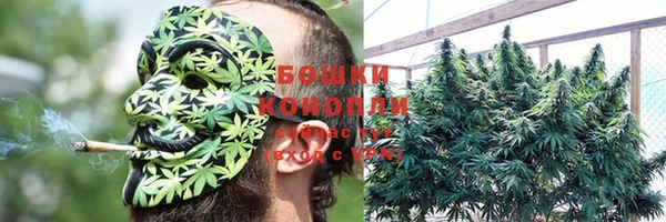 соль ск Аркадак