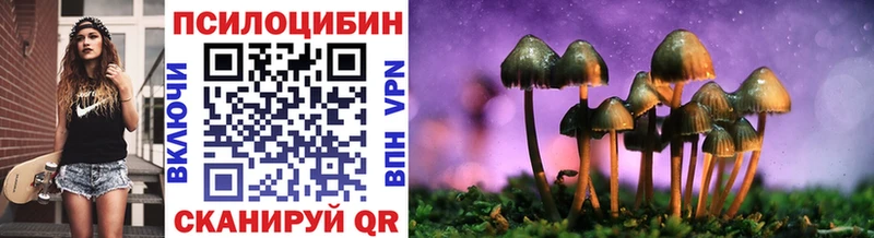 blacksprut ссылки  где продают   Ирбит  Галлюциногенные грибы MAGIC MUSHROOMS 